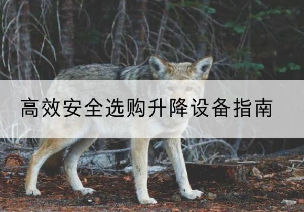 荣县升降货梯厂家推荐-*安全选购升降设备指南
