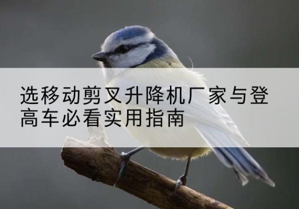 荣县电动升降机厂家-选移动剪叉升降机厂家与登高车必看实用指南