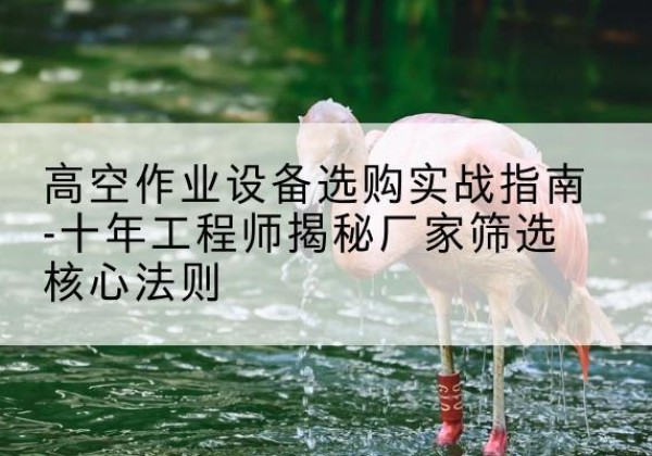 荣县剪叉式升降机厂家-高空作业设备选购实战指南-十年工程师揭秘厂家筛选核心法则